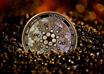 Cardano’s Price Dips Below $0.50 Level – Time to Buy?