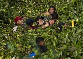 What a border deal collapse means for 2024