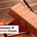 Top 5 Canadian Mining Stocks This Week: Giant Mining Gains 70 Percent