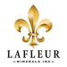 LaFleur Minerals Announces Grant of Stock Options
